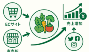 有機野菜を中心にECサイト、直売所、SNSを繋いで最終的に売上アップに至るフローイメージ