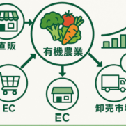 有機農業の商品を直販、EC、卸売市場に繋いで売上アップを実現するフローイメージ