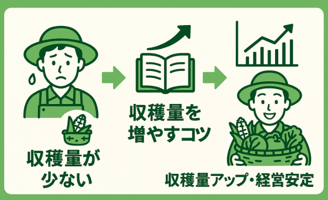 収穫量が少ない農家から収穫量改善のコツを学び、豊かな収穫と経営安定を実現するフローイメージ