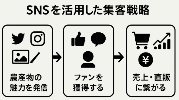 農産物通販のSNS集客＆販売戦略
