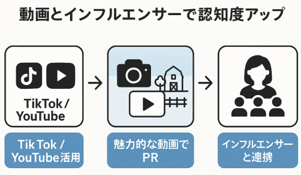 動画連携プロモーション図解