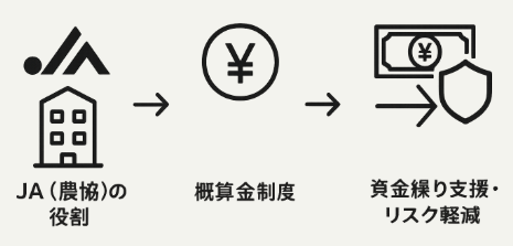 米の概算金とは？制度の定義・目的とJA（農協）の役割の図解