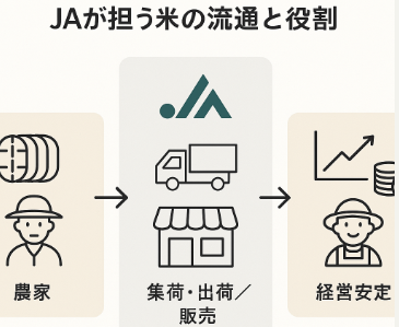 JAが担う米の流通と役割の図解イラスト