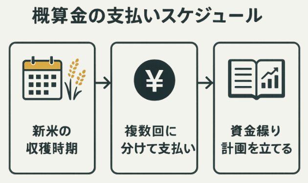 米農家の概算金における支払スケジュールの図解イラスト
