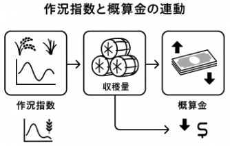 米の概算金と作況指数における連動の図解イラスト