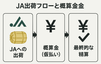 JA出荷フローにおける概算金の流れの図解イラスト
