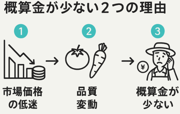 概算金が少ないと米農家が感じる主な原因に関する図解イラスト