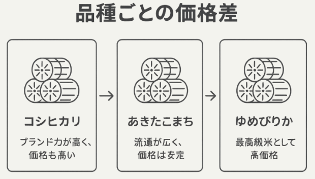 コシヒカリ・あきたこまち・ゆめぴりかの価格差に関する図解イラスト