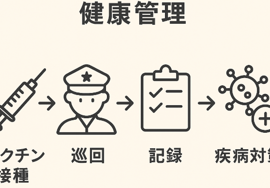 ワクチン接種→見回り→記録管理→病気対応の流れをアイコンとテキストで示す、健康管理ルーティン図解