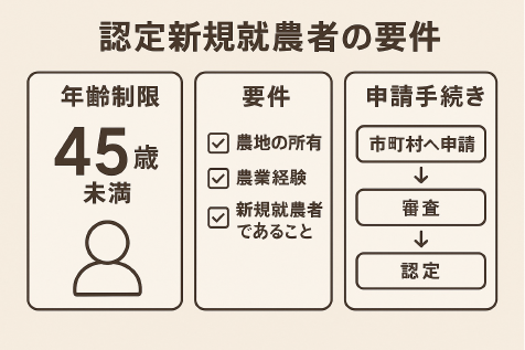 認定新規就農者の資格要件と49歳以下年齢制限、申請プロセスを示した日本語図解